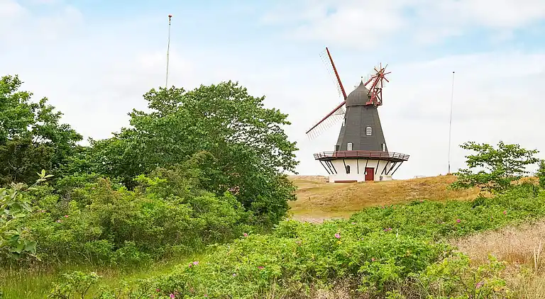 Holiday home on Fanø