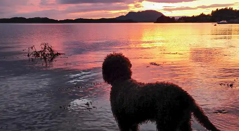 Semesterbostad vid Sørstranda