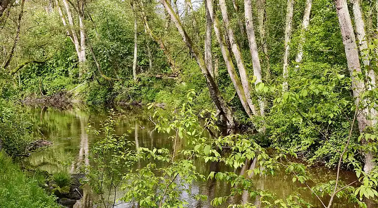 Feriebolig i Varberg V