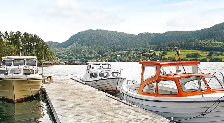 Ferienhaus in Vågland