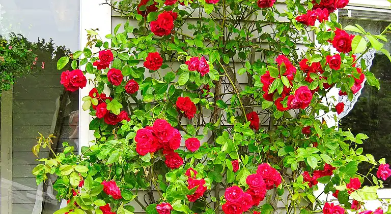 Holiday home in Tjörn S