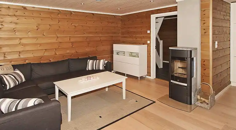 Holiday home in Åseral Municipality