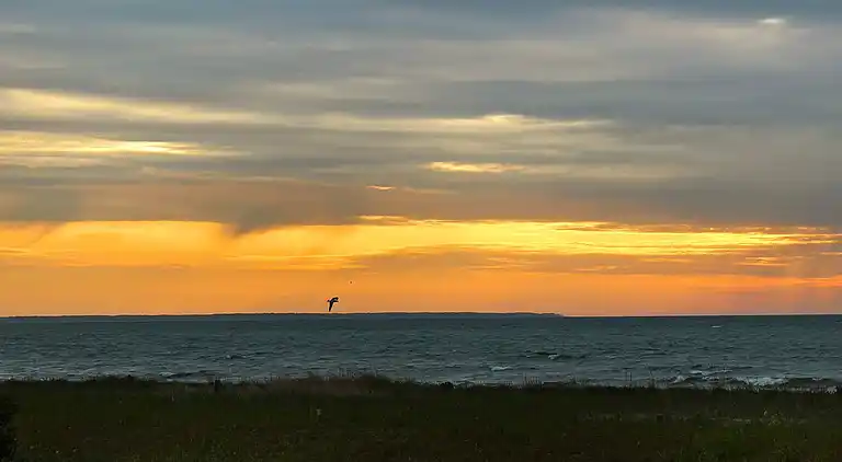 Semesterbostad i As vig