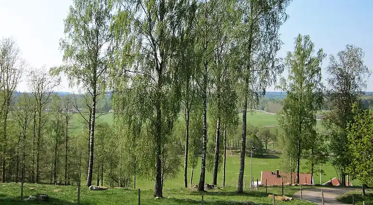 Semesterbostad i Hög