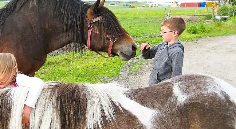 Holiday home in Tjörn S