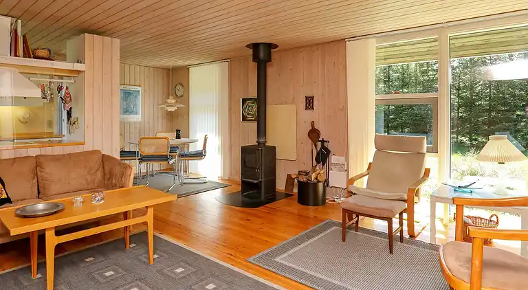 Holiday home in Fjerritslev