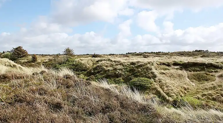 Holiday home in Thisted