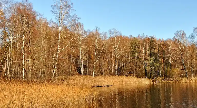 Holiday home in Åmål V