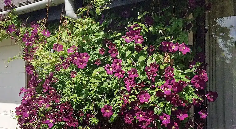 Ferienhaus am Skåstrup Strand