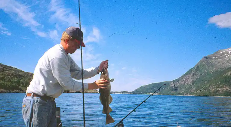 Holiday home in Aarfor