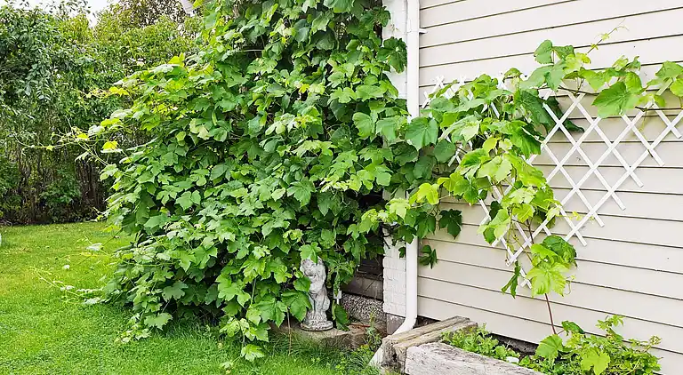 Feriebolig i Sotenäs S