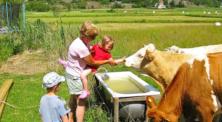 Holiday home in Tjörn S