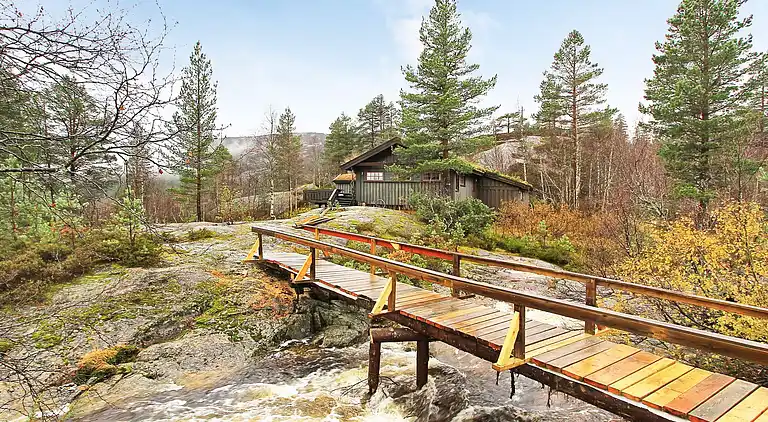 Feriebolig i Åseral