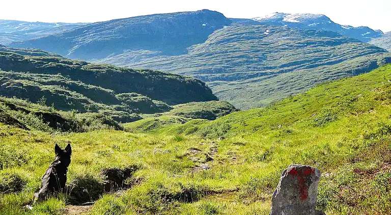 Holiday home in Eksingedalen