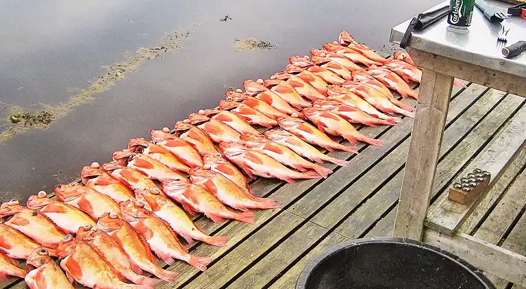 Holiday home in Titran