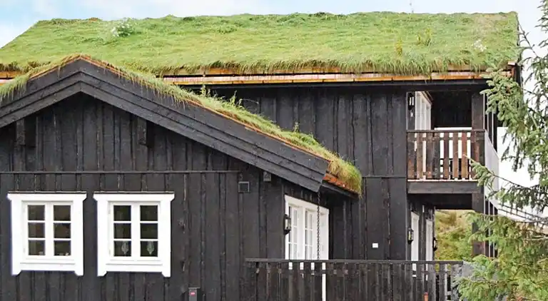 Feriebolig i Fåvang