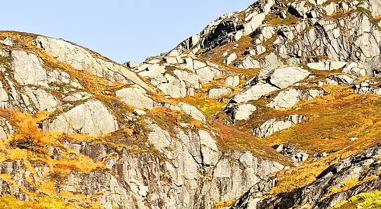 Semesterbostad i Eksingedalen