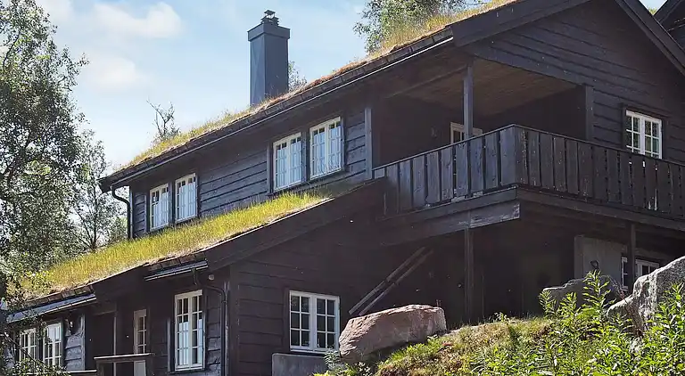 Holiday home in Åseral Municipality