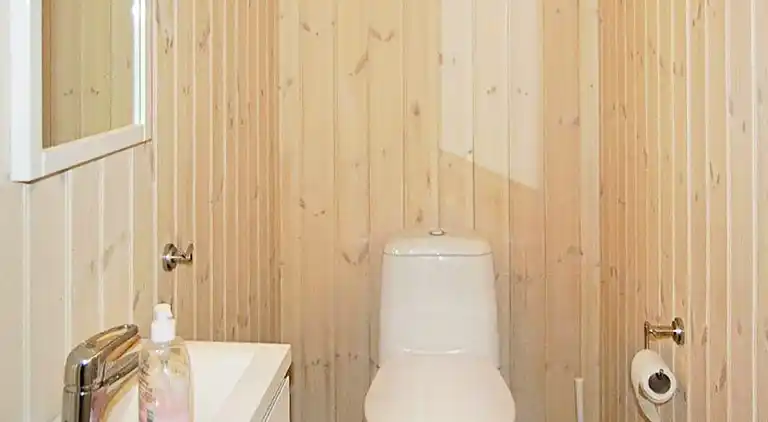 Feriebolig i Fåvang