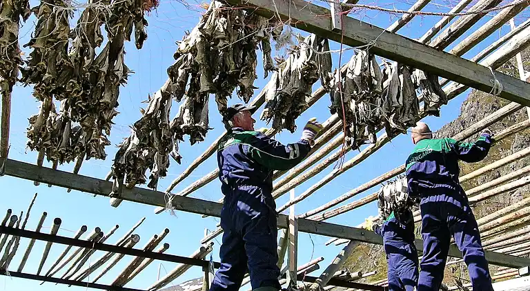 Sommerhus i Stamsund