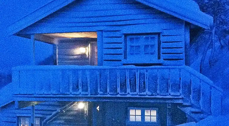 Holiday home in Åseral Municipality