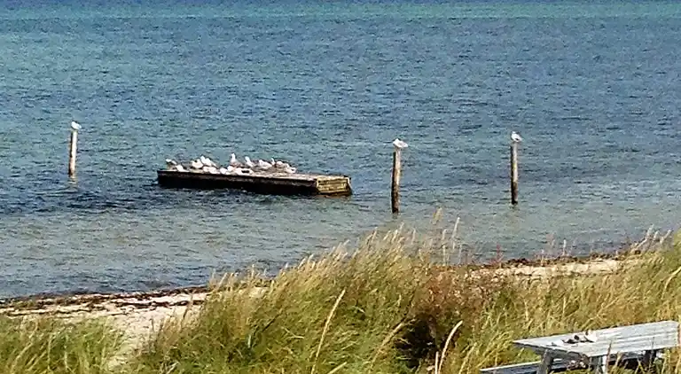 Sommerhus ved Fjellerup Strand