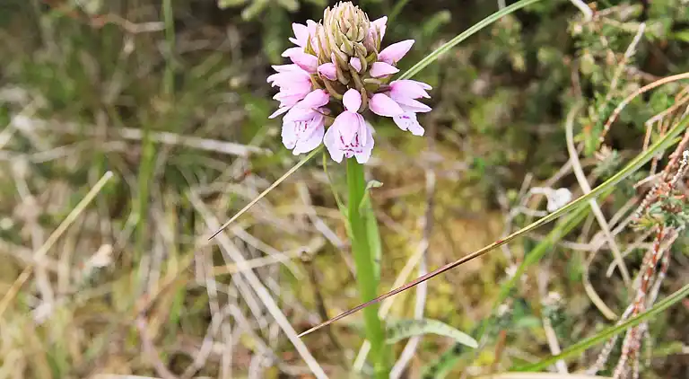 Maison de vacances en Sele