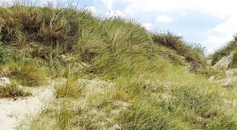 Casa vacanze in Fjerritslev