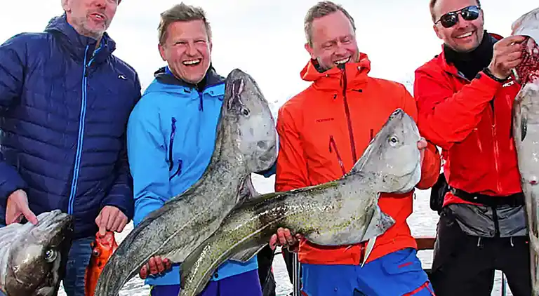Ferienhaus in Lyngen