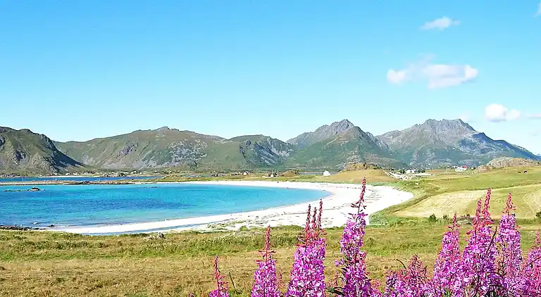 Semesterbostad i Bø