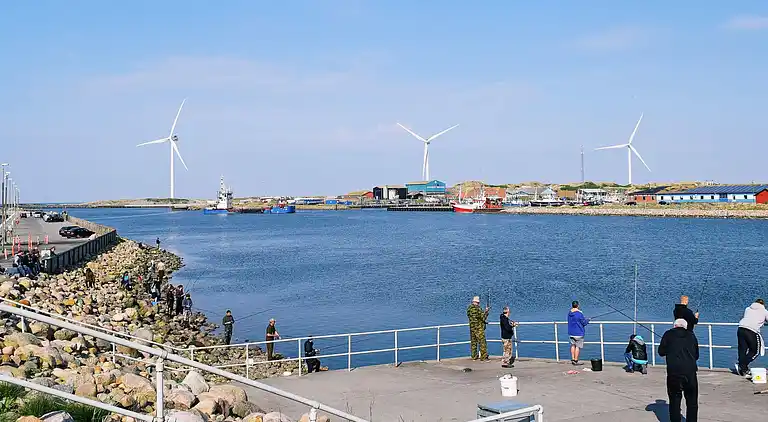 Maison de vacances en Hvide Sande