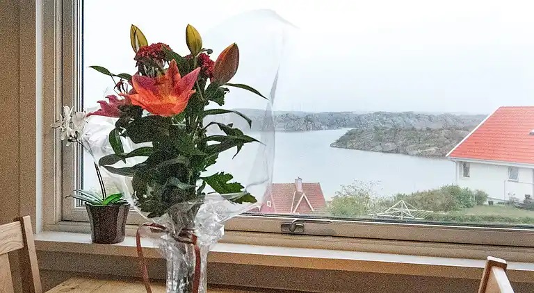 Sommerhus i Sotenäs S