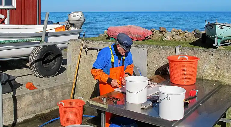 Holiday home in Strøby