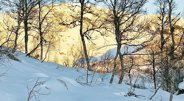 Holiday home in Eksingedalen