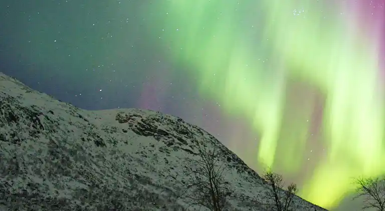 Sommerhus i Stamsund