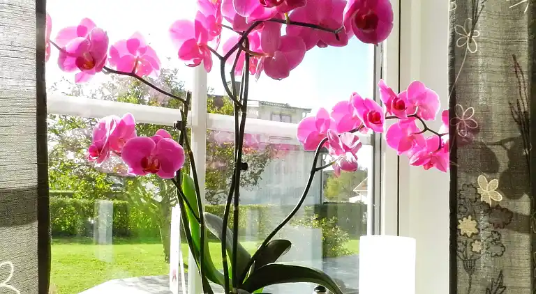 Ferienhaus in Skalhamn