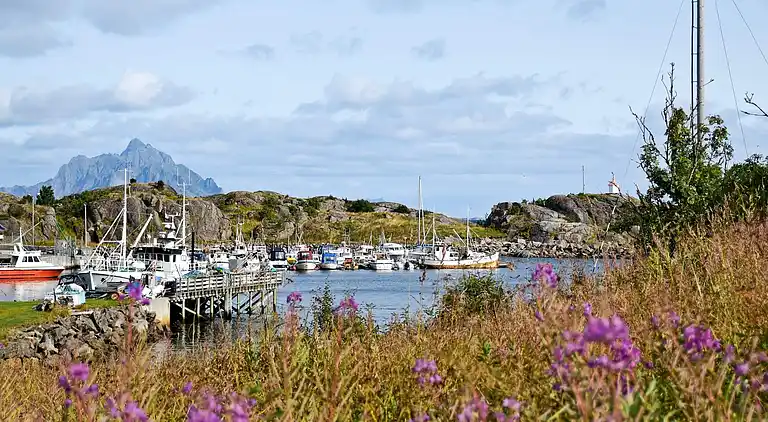 Sommerhus i Stamsund