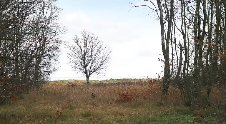 Ferienhaus am Helberskov Strand
