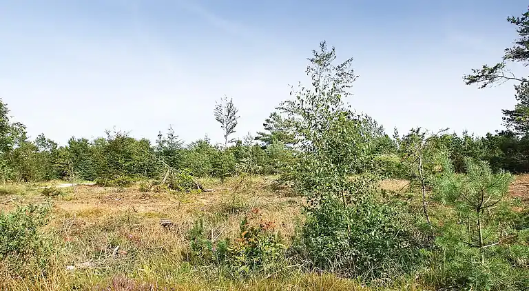 Holiday home in Fjerritslev