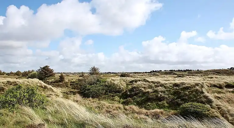 Holiday home in Thisted