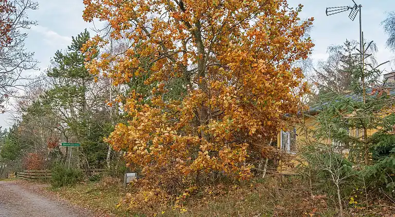 Sommerhus ved Fjellerup Strand