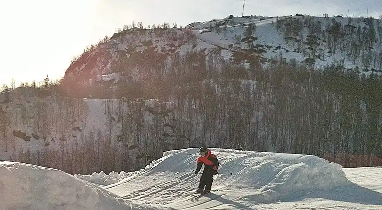 Holiday home in Åseral Municipality