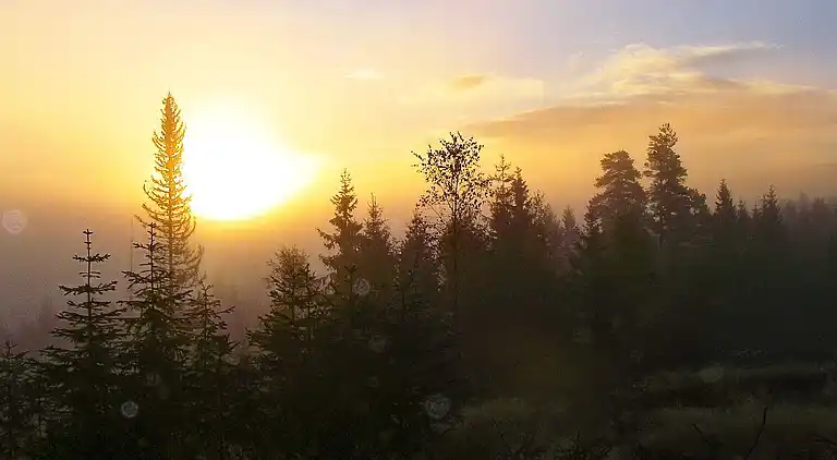 Semesterbostad i Eksingedalen