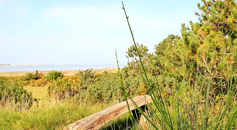 Semesterbostad i Martofte