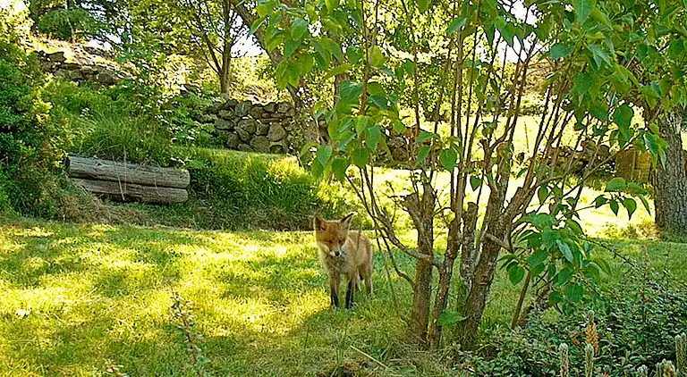 Holiday home in Tjörn S