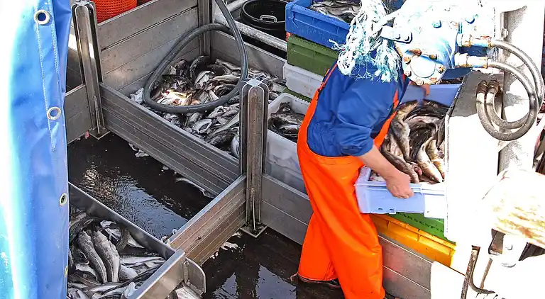 Holiday home in Borre