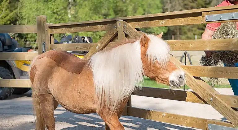 Feriebolig i Uddevalla