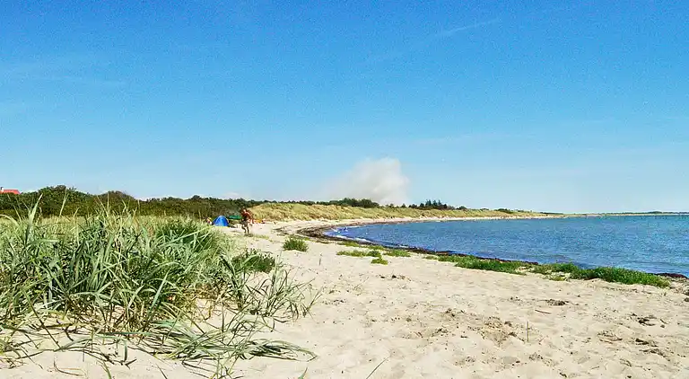 Ferienhaus in Dannemare