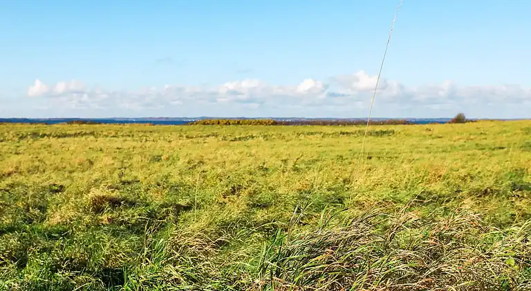 Ferienhaus in Tranekær