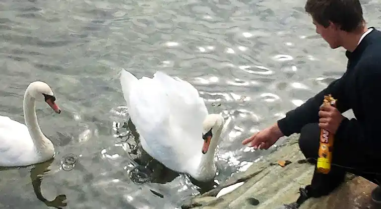 Holiday home in Averøy